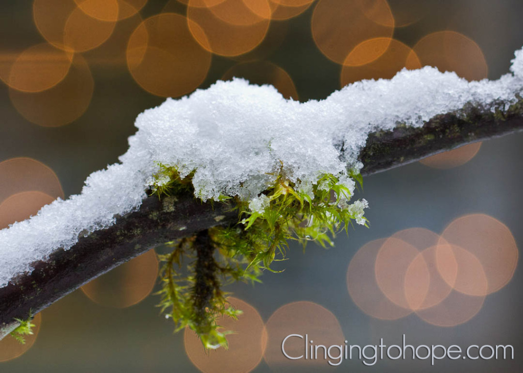 The snow that made me feel so at peace that Christmas, with the lights of the Christmas tree in the background.